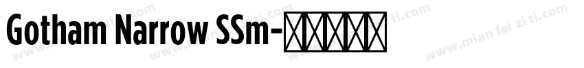 Gotham Narrow SSm字体转换